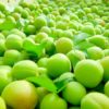 梅の効能効果!夏に向けて食べるべき!!