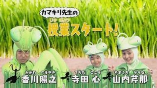 昆虫すごいぜ第5弾!!元旦に海外ロケでカマキリ先生帰ってくる