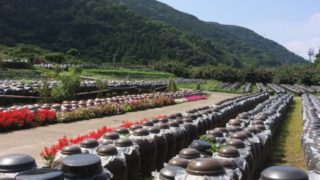 黒酢の効能効果 分かりやすくまとめてみました。