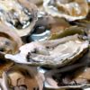 牡蠣は海のミルク効能効果と成分が元気を作る