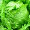 食物繊維ベスト20と効能と働きは?