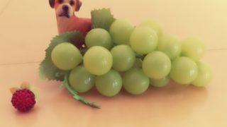 ひょっこりはんの年齢やプロフは?まとめてみたよ~~